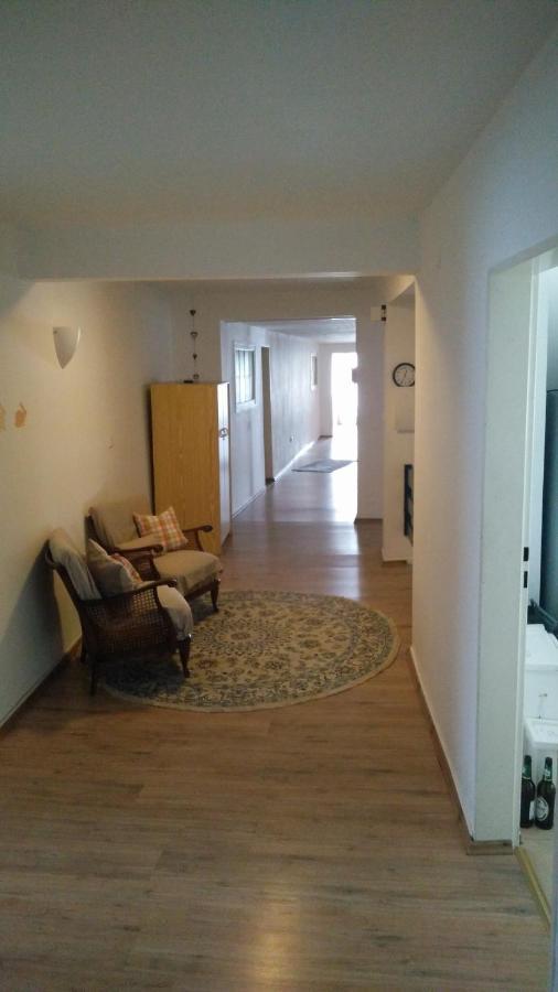 Pension Wiesental Екстериор снимка